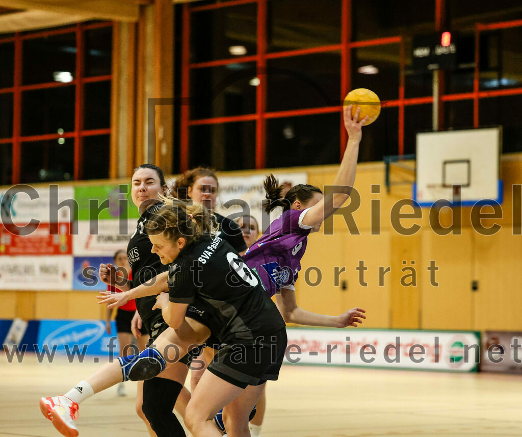 2024-02-10_018_SpVgg_Altenerding_gegen_SVA_Palzing | Erding, Deutschland, 10.02.2024:
Handball, Bezirksoberliga Frauen Altbayern 2023 / 2024, 14. Spieltag, SpVgg Altenerding gegen SVA Palzing, Endergebnis: 27:28

Claudia Hilpert (SVA Palzing, #6), Julia Kranich (SpVgg Altenerding, #9)Frederking, Jana

Foto: Christian Riedel / fotografie-riedel.net