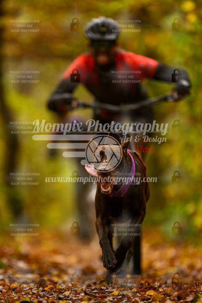 MompixPhotography_CD7S_DI_DS-10 | mompixphotography