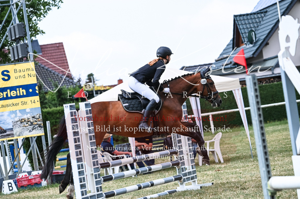 DSC_9027 | Pferde- und Turnierfotografie in Westsachsen. Pferdeportraits, Auftragszeichnungen und intuitive Kunst.
