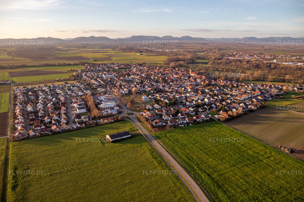 Luftbild: Ortsansicht von Südwesten in Steinweiler im Bundesland Rheinland-Pfalz in Deutschland. Foto: IMG_139380.jpg vom 16.12.2023 durch Werner Riehm/FLY-FOTO.de