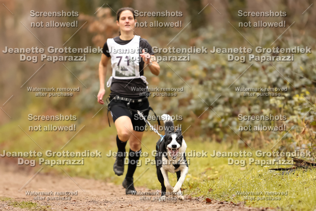 Dog Paparazzi - Speedhunter Mannheim  2025-209 | Dog Paparazzi Jeanette Grottendiek Fotografie & Videografie