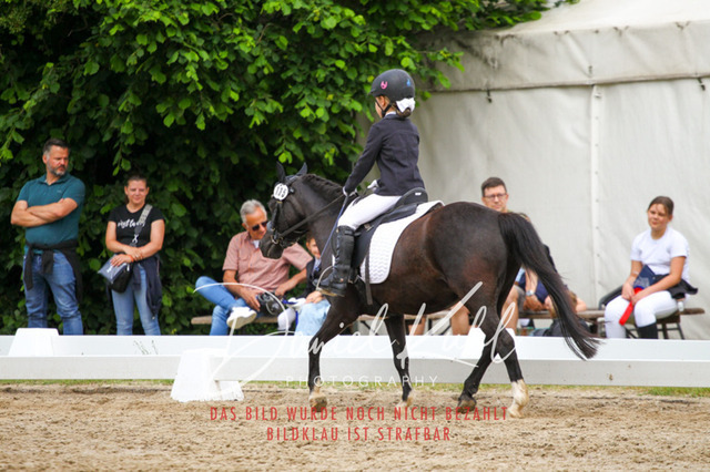 DKP47494 | Turnierfotos kaufen im Webshop von Daniel Kuhl Photography – entdecke professionelle Reitsportfotos aus Turnieren & Events. Hochwertige Turnierbilder online bestellen & sichern. Jetzt Fotos von Reitsportturnieren kaufen!