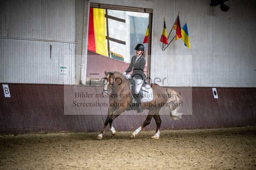 DOS_1879 | Reitturnier Lüdinghausen - Realisiert mit Pictrs.com