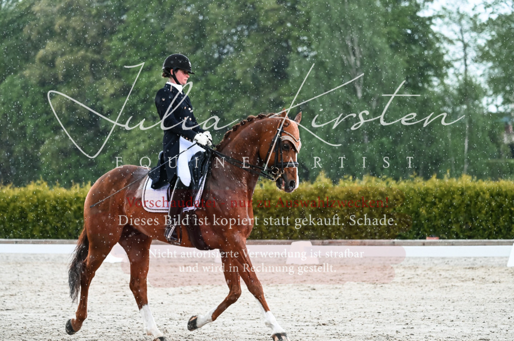 20230514_JK-Röhrsdorf-21-558 | Pferde- und Turnierfotografie in Westsachsen. Pferdeportraits, Auftragszeichnungen und intuitive Kunst.