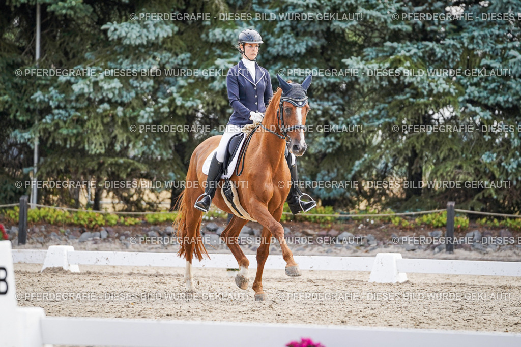 DSC00586 | Pferdegrafie