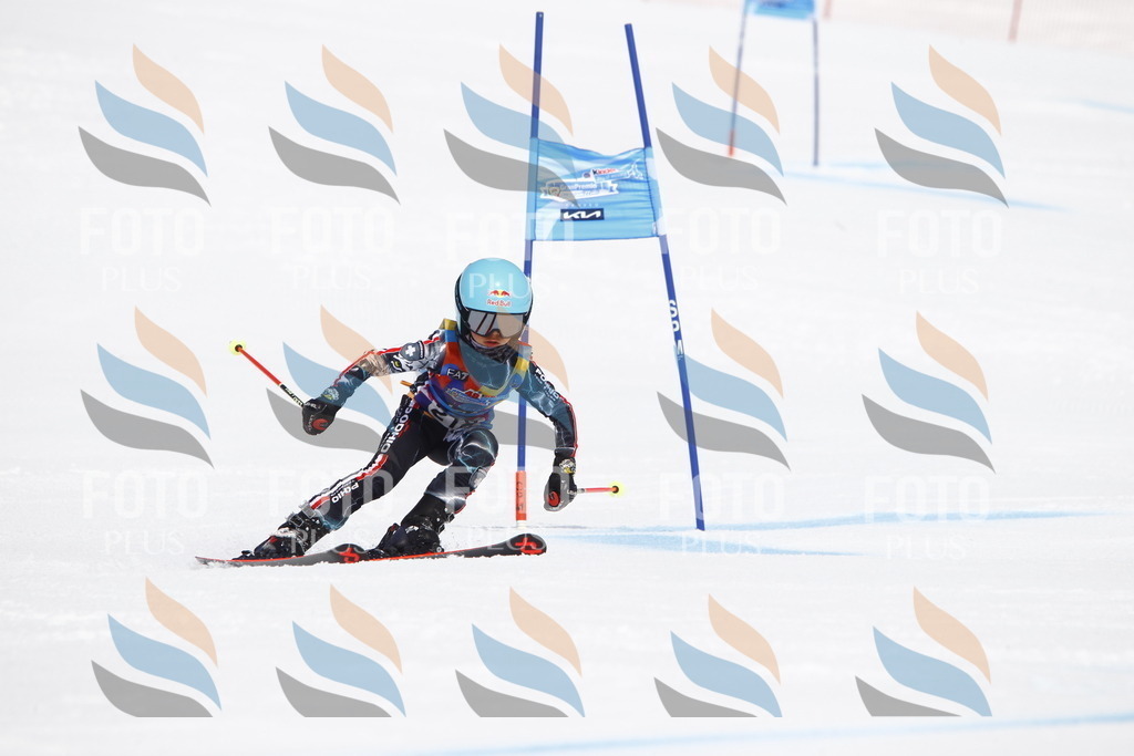 _U3G5617 | holidayphoto