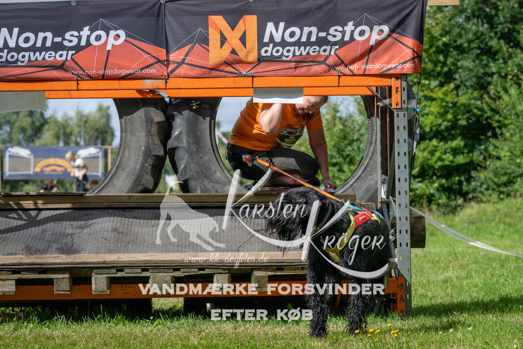 1540_ZZ93754 | kk-dogfotos