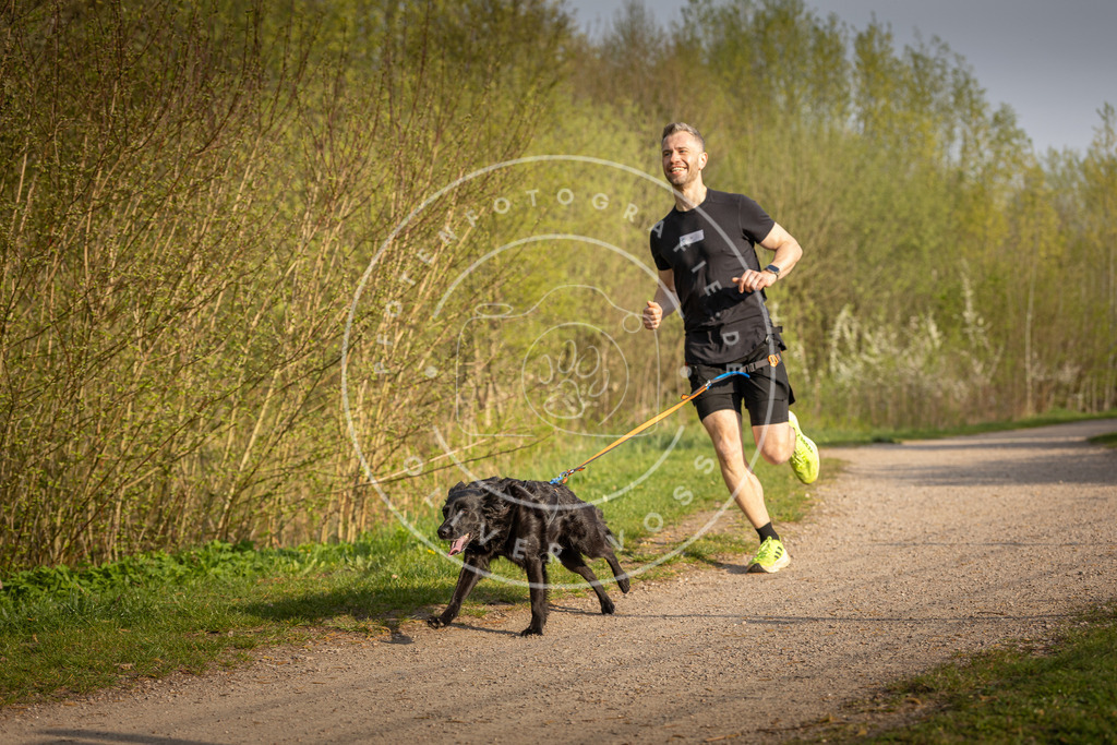 Pfotenfotografie_DV3A4526 | Hundefotografie, Tierfotograf, Pfotenfotografie, Fotoshooting Hund, Hunde Portrait, Hundesport, Hundeportraits, Heideshooting, Hunde, Sportfotograf, Hundefotograf, Turnierhundsport, THS,  - Realisiert mit Pictrs.com