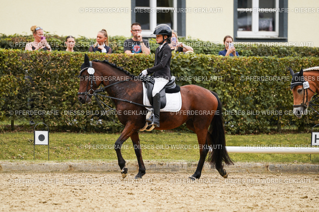 DSC00460 | Pferdegrafie