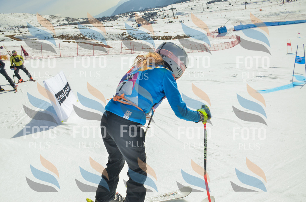 _ELE4490 | holidayphoto