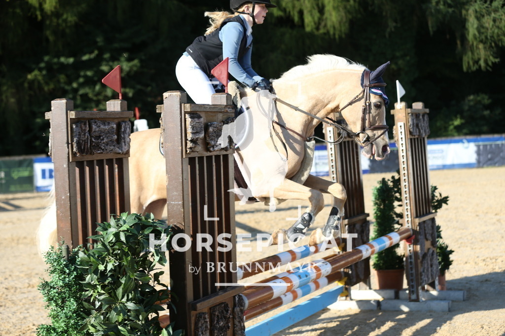 DL2Q7392 | Willkommen bei Brunnmayr - Design & Fotografie – Ihrem Spezialisten für Reitturniere und Pferdeveranstaltungen in Oberösterreich, Salzburg und Bayern! Seit über 17 Jahren sind wir leidenschaftlich dabei.