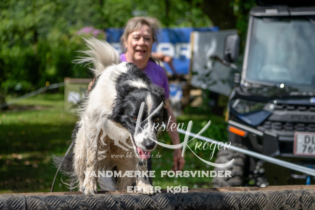 1101_ZZ92392 | kk-dogfotos