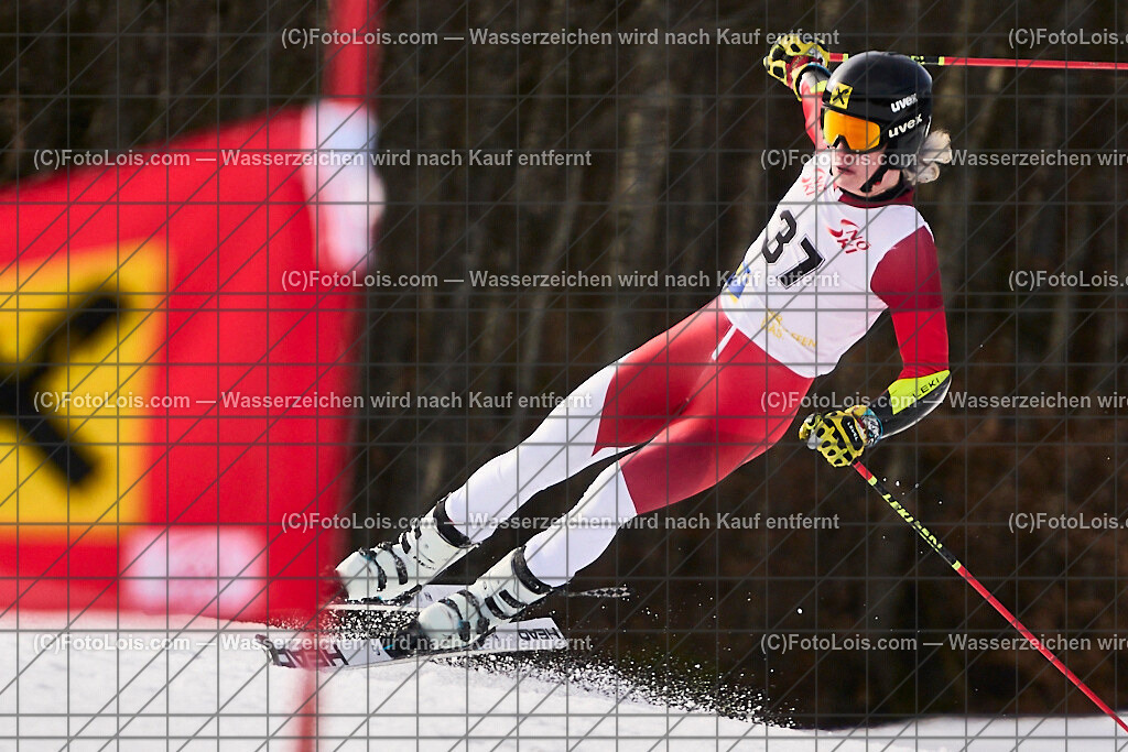 ALP8347_Herrn-FIS-GS-II_Lackenhof-WY_Gstrein Niklas | Internationaler FIS GiantSlalom der Herrn auf der Distelpiste in Lackenhof am Di 11. März 2025.  Österreich, LSV-NÖ, Sportunion Waidhofen/Ybbs (2035).