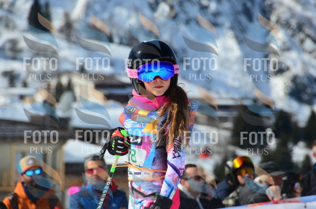 DSC_0484 | holidayphoto