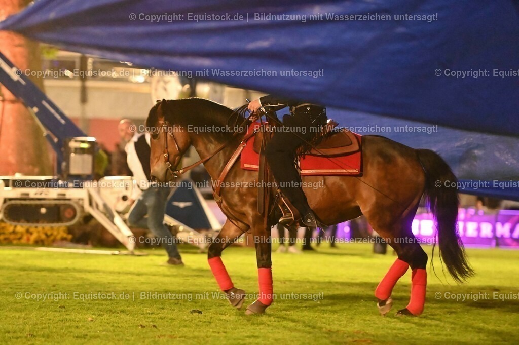 20230526_Pferdenacht_1077 | equistock