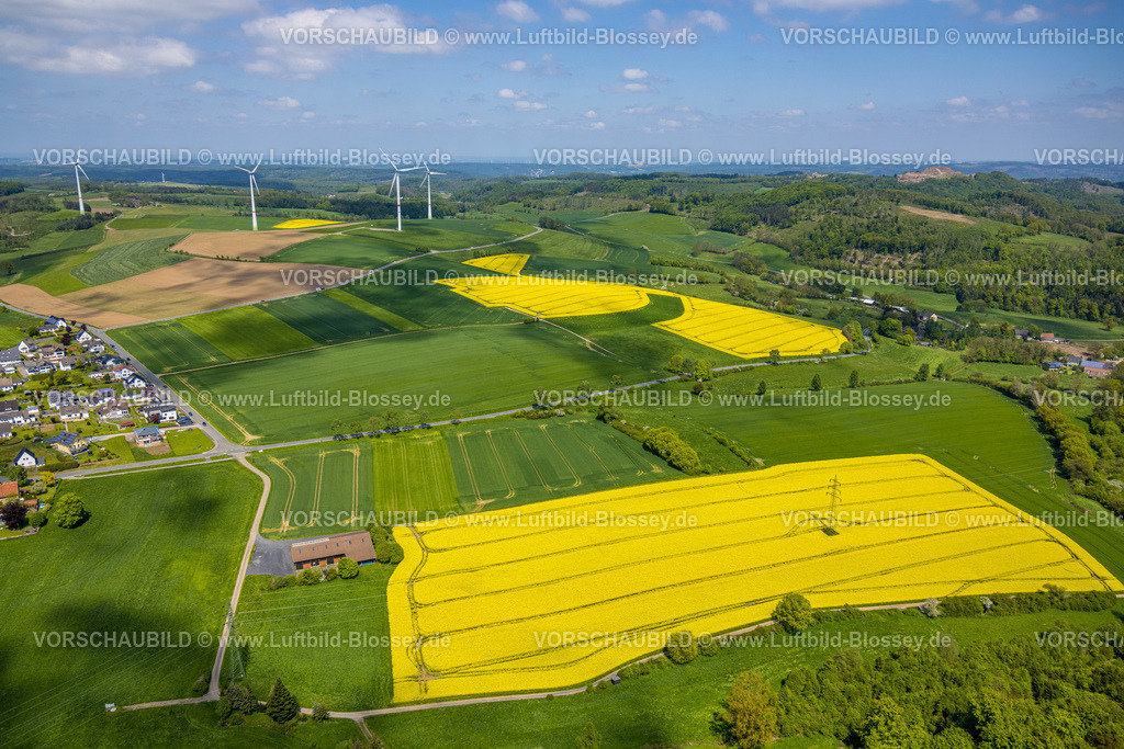 Sundern230504521Hoevel | Luftbild, Rapsfelder nahe der Bundesstraße 229, Naturpark Sauerland-Rothaargebirge, Estinghausen, Sundern, Sauerland, Nordrhein-Westfalen, Deutschland