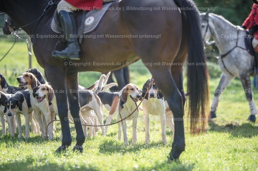 20251011_Jagd-Marbach_0147 | Foto: Thomas Hartig