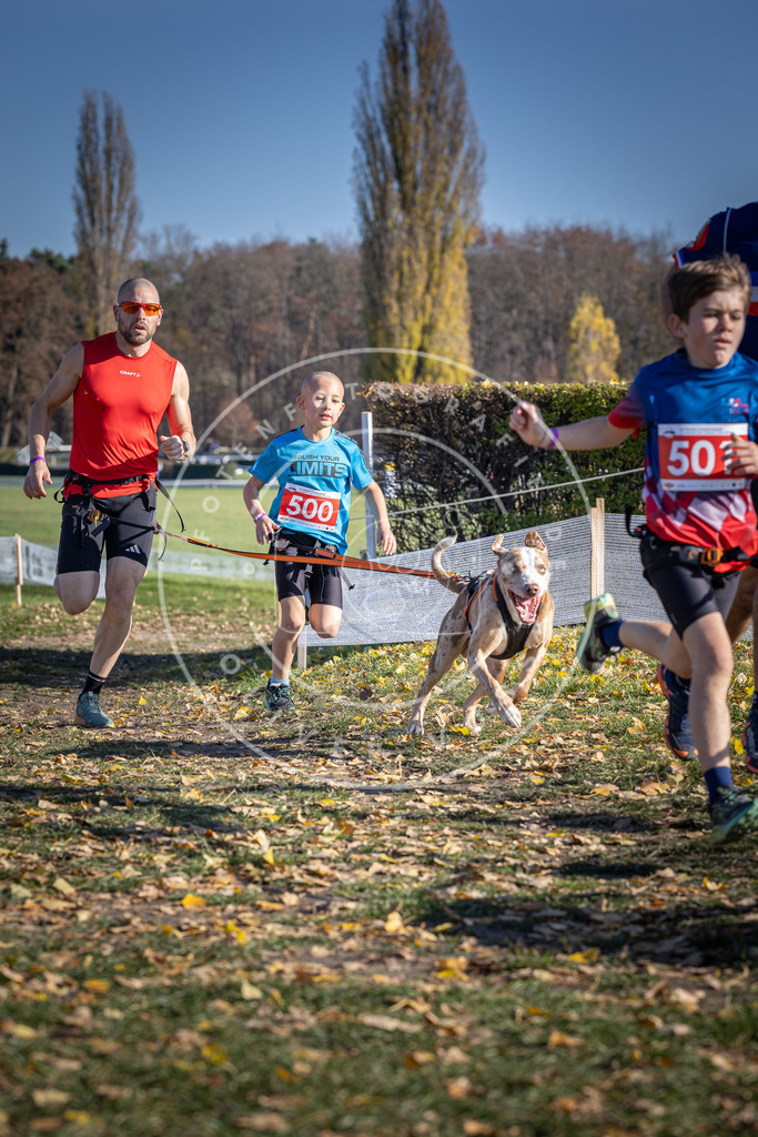 CaniXpix_DV3A7801 | Hundefotografie, Tierfotograf, Pfotenfotografie, Fotoshooting Hund, Hunde Portrait, Hundesport, Hundeportraits, Heideshooting, Hunde, Sportfotograf, Hundefotograf, Turnierhundsport, THS,  - Realisiert mit Pictrs.com