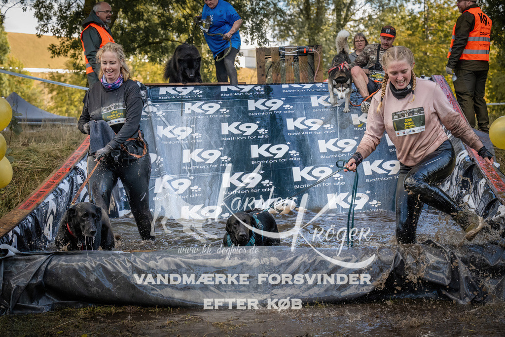 1552_ZZ90922 | kk-dogfotos