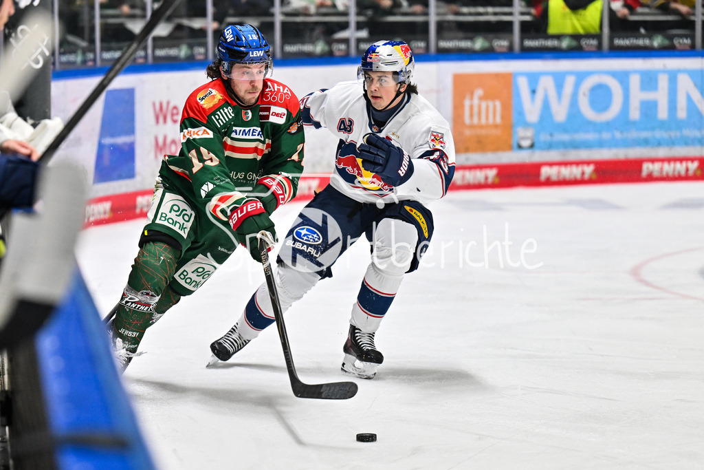 Augsburger Panther - EHC RB München | AUGSBURG, DEUTSCHLAND - 27. FEBRUAR: im Duell Riley DAMIANI (Augsburger Panther 19) und Phillip SINN (RB München 43) während dem Match zwischen den Augsburger Panthern und dem EHC RB München am 46. Spieltag der Penny DEL im Curt Frenzel Stadion
