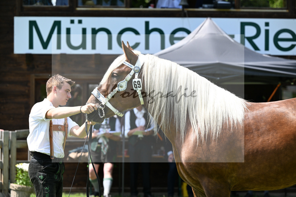 Kat-Nr. 69 Ma Belle v. Voithberg_Bachmair_22241218 | hf-fotografie - Realizzato con Pictrs.com