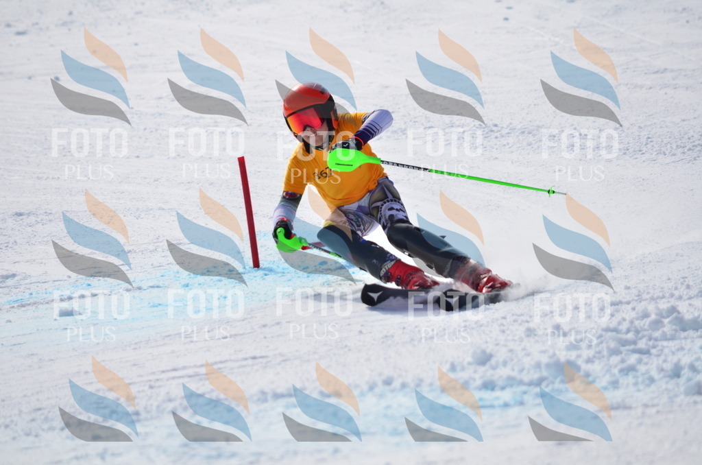 C9889 | holidayphoto