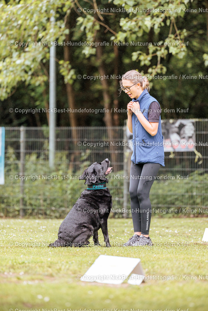 RO-Blumenthal-2026-Nickbest-Hundefotografie-0253 | Dein Hund! Dein Moment! Deine Erinnerungen! Hundefotografie in Bremen Blumenthal. Ich fange die besonderen Momente deines Vierbeiners ein – ob Indoor mit Blitzanlage oder in der freien Natur. Sicher dir dein Moment und dein Termin für eure Erinnerungen.