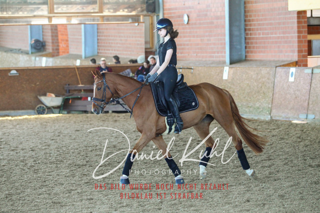 DKP42467 | Turniersportfotografie; Pferdefotografie; Dressurfotografie