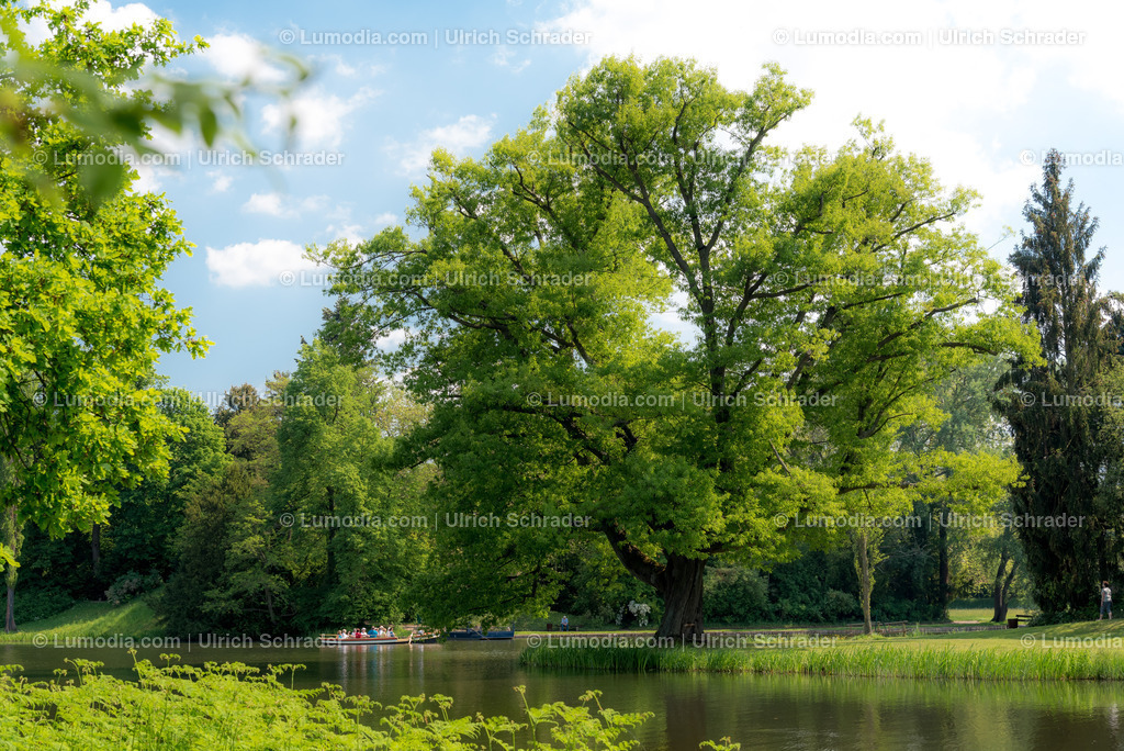 10049-5624 - Wörlitzer Park _ Sachsen Anhalt | Stockfoto und Bilderpool mit Bildmaterial aus Deutschland, dem Harz, Halberstadt, Quedlinburg, Wernigerode und weltweit. Qualitativ hochwertige und professionelle Fotos anschauen und kaufen. - Realisiert mit Pictrs.com