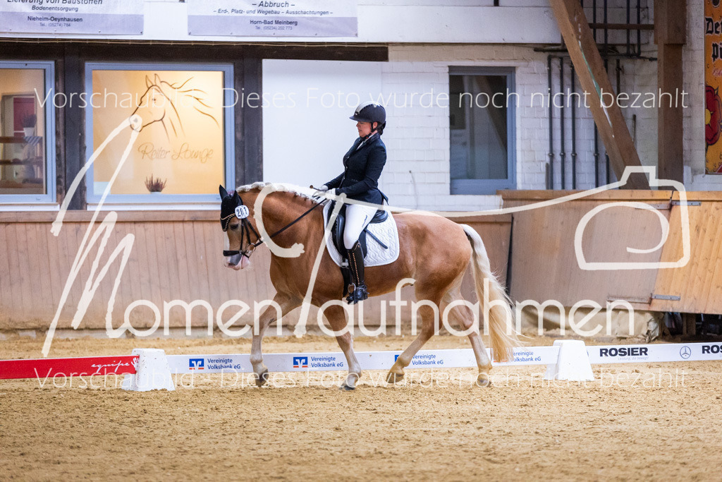 Sth-A-Dre-2St-049 | MomenTaufnahmen Pferdesportfotos