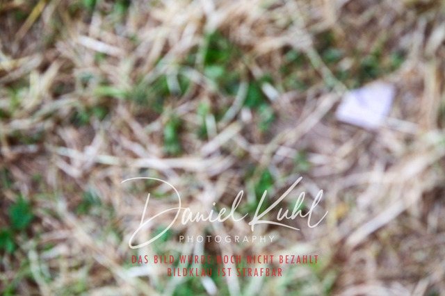 DKP47358 | Turniersportfotografie; Pferdefotografie; Dressurfotografie