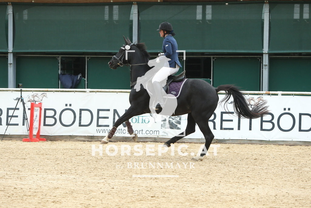 DL2Q5447 | Willkommen bei Brunnmayr - Design & Fotografie – Ihrem Spezialisten für Reitturniere und Pferdeveranstaltungen in Oberösterreich, Salzburg und Bayern! Seit über 17 Jahren sind wir leidenschaftlich dabei.