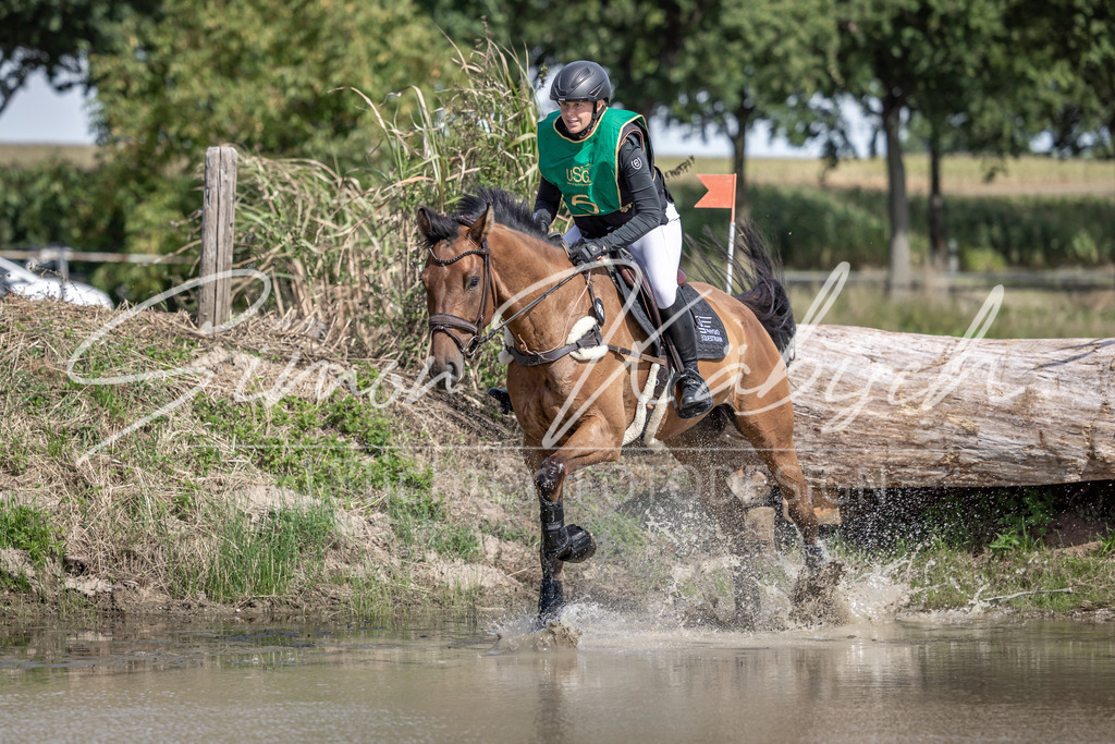 20250907-_3LI0919 | Tierfotografie Pferde, Hunde, Katzen, Haustiere.
Turnierfotografie Reitturniere, Reiten, Springreiten, Dressur in Hanau, dem Main-Kinzig-Kreis und dem Rhein-Main- Gebiet um Frankfurt