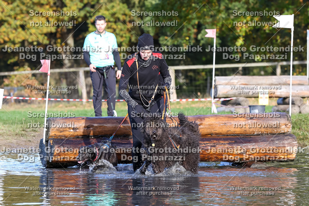 Dog Paparazzi - Strongdog 10-25-8619 | Dog Paparazzi Jeanette Grottendiek Fotografie & Videografie - Realisiert mit Pictrs.com