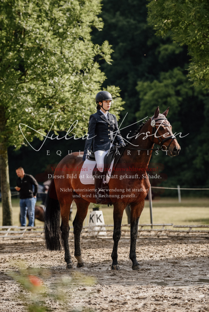 DSC_8686 | Pferde- und Turnierfotografie in Westsachsen. Pferdeportraits, Auftragszeichnungen und intuitive Kunst.