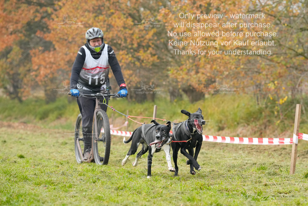 Visbeck_Sa_DS2DR2-124 | stephaniefillaphotographie - Realisiert mit Pictrs.com