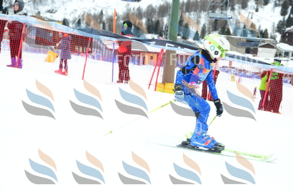 DSC_1401 | holidayphoto