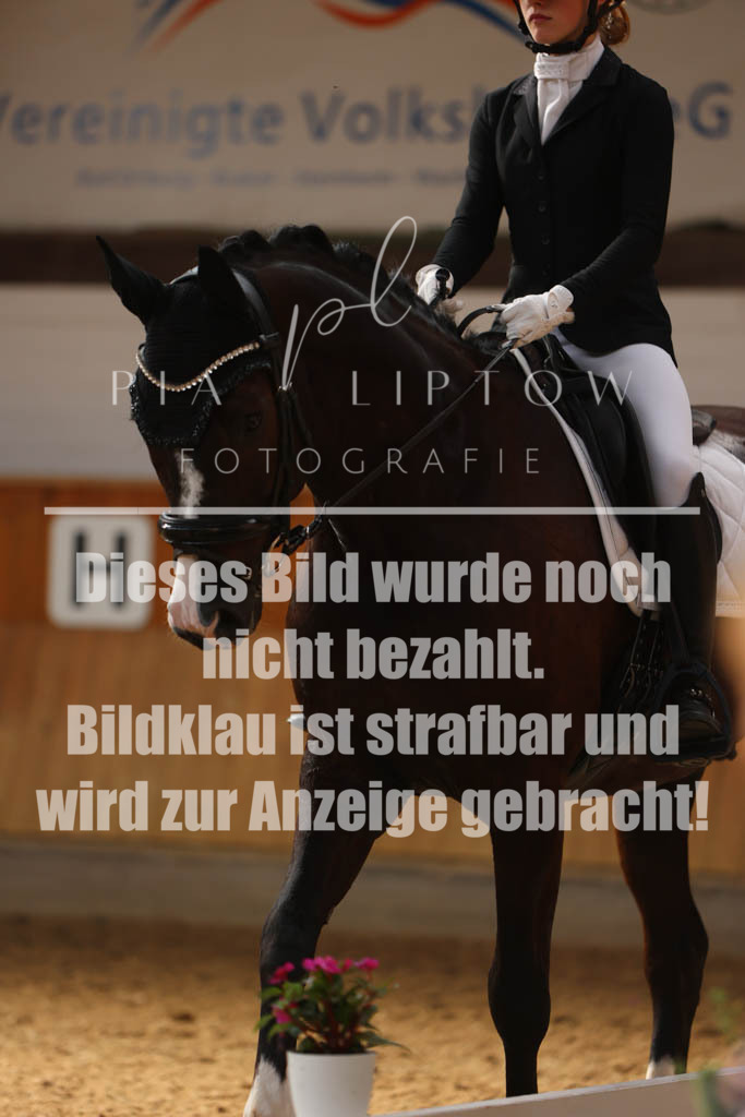 IMGS0746 | pl-fotografie