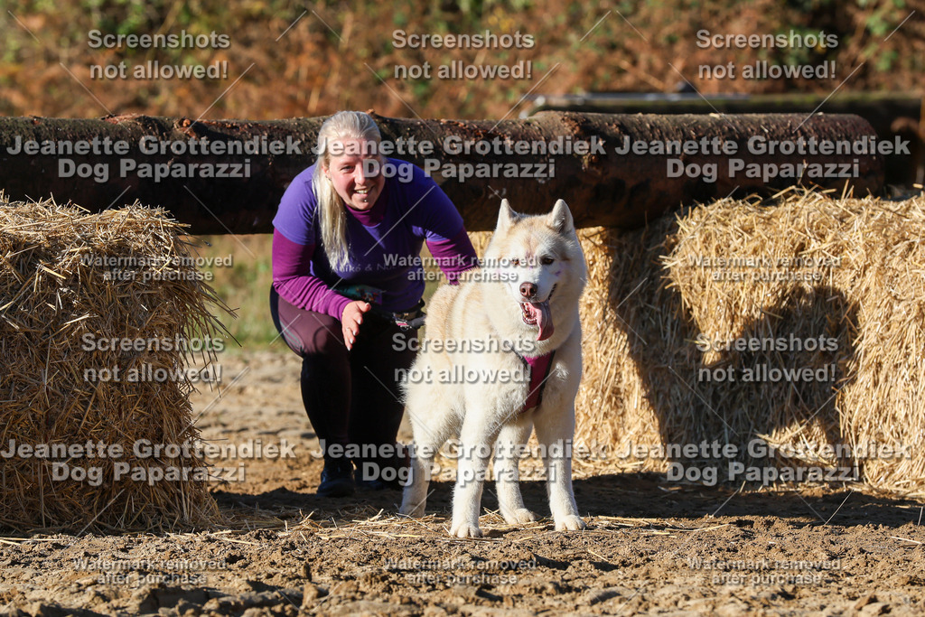 Dog Paparazzi - Strongdog 10-25-1584 | Dog Paparazzi Jeanette Grottendiek Fotografie & Videografie - Realisiert mit Pictrs.com