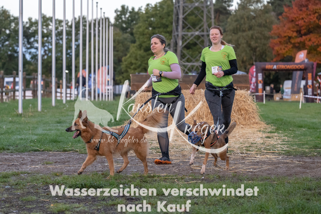 0805_ZZ94328-Bearbeitet | kk-dogfotos