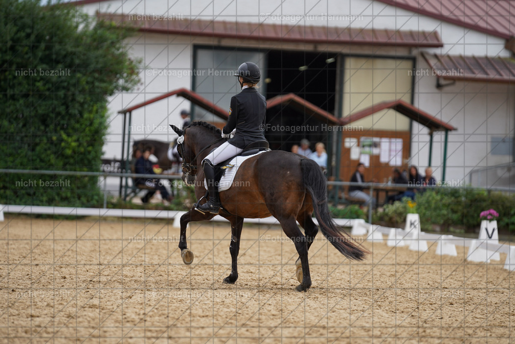 20240825-FAH00099 | Turnierbilder, Reitsportfotos, LAPO, Landesponyturnier, Turnierfotografen Bayern