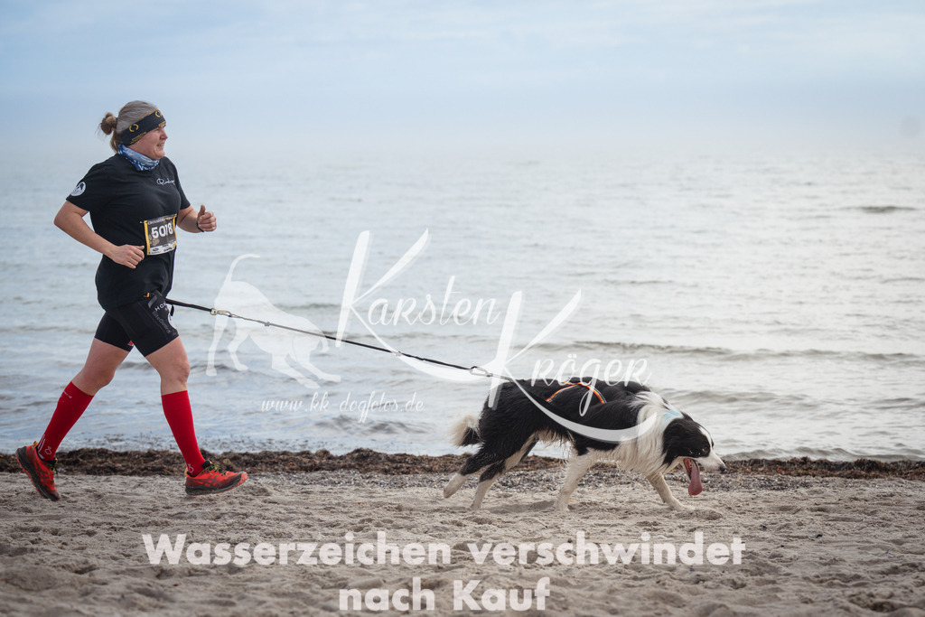 1145_ZZ90717 | kk-dogfotos