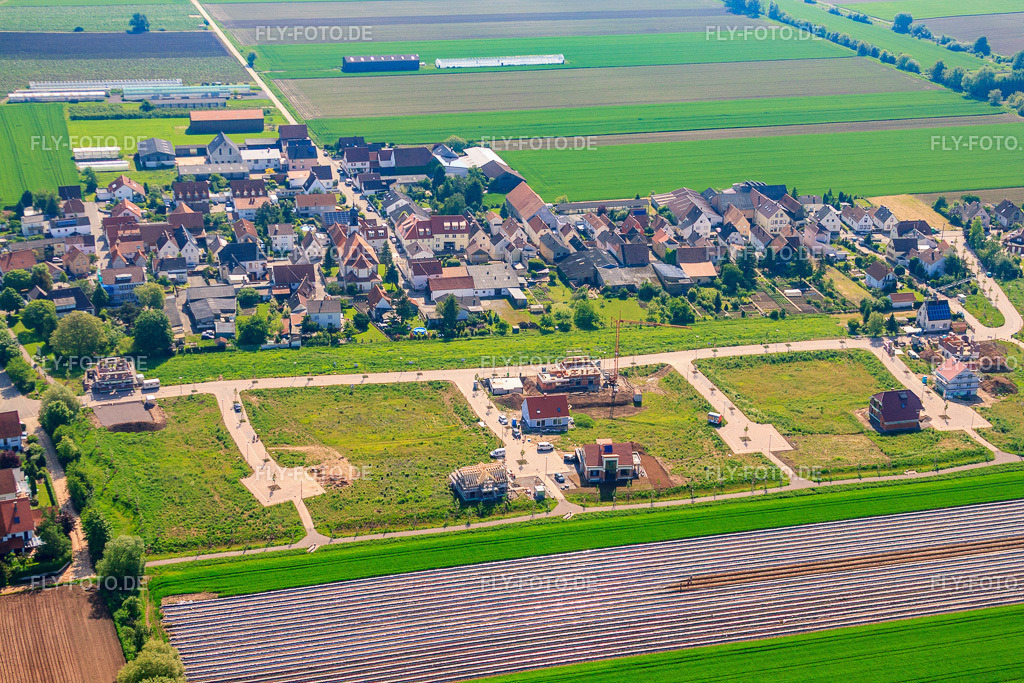 Neubaugebiet Unteres Rappenfeld in Erschließung | Luftbild: Neubaugebiet Unteres Rappenfeld in Erschließung im Ortsteil Mörlheim in Landau im Bundesland Rheinland-Pfalz in Deutschland. Foto: IMG_27382.jpg vom 23.05.2010 durch Werner Riehm/FLY-FOTO.de - Realisiert mit Pictrs.com