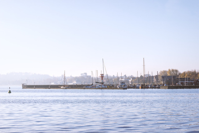 Wandbild: Yachthafen Eckernförde in morgendlicher Lichtstimmung