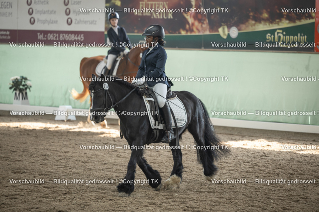 _D5A5533 | Emotionale Pferde- & People-Fotografie rund um Heidelberg, Leimen & Umgebung. Natürliche Fotos von Pferd, Mensch & Familie. Jetzt Termin sichern!