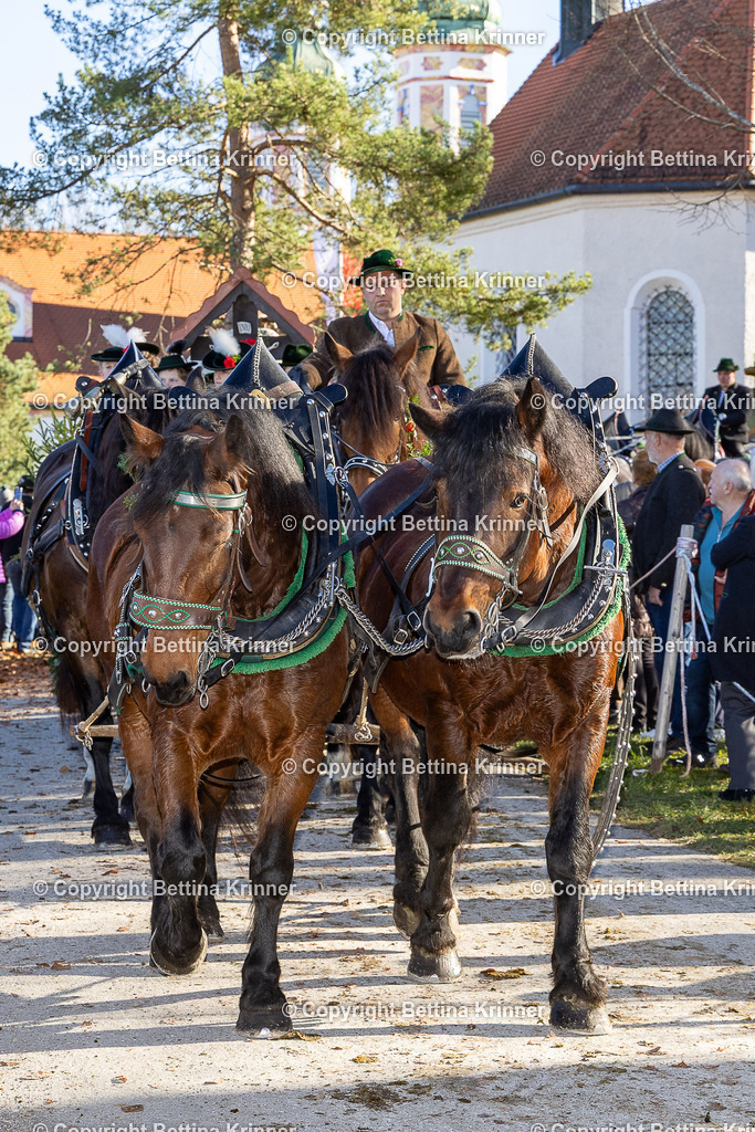 LBT25-1210 | foto-bettina-krinner - Realisiert mit Pictrs.com