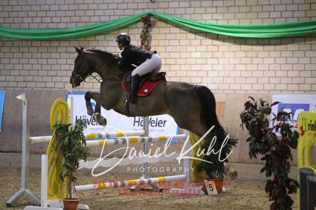IMG_0787 | Deine Turnierfotos vom Reitturnier online kaufen: Dressur, Springen & Siegerehrung. Professionelle Pferdefotografie aus dem Rheinland – als Download & Print.Alternative: Turnierfotograf für den Pferdesport: Finde deine Fotos von Dressur- und Springturnier