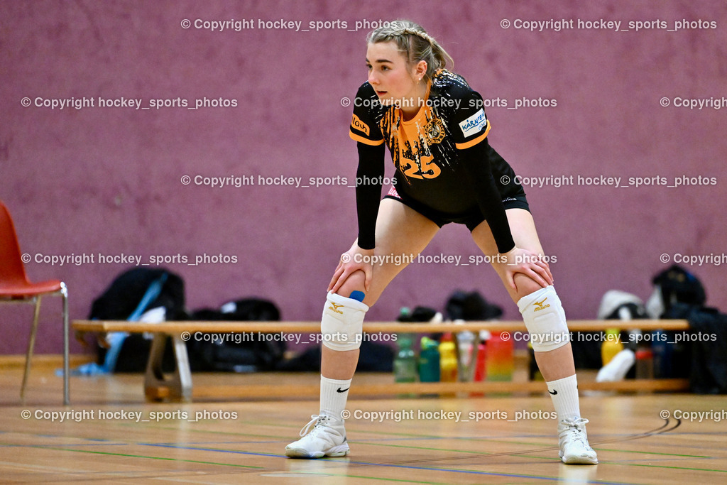 ASKÖ Volley Eagles Villach vs. VC Hausmannstätten | #25 SCHULER Chiara ASKÖ Volley Eagles Villach, ASKÖ Volley Eagles Villach vs. VC Hausmannstätten, ASKÖ Volley Eagles Villach vs. VC Hausmannstätten am 01.02.2025 in Villach (Ballspielhalle Lind), Austria, (Photo by Bernd Stefan)