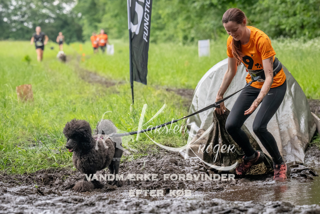 1601_ZZ91775-Bearbeitet | kk-dogfotos