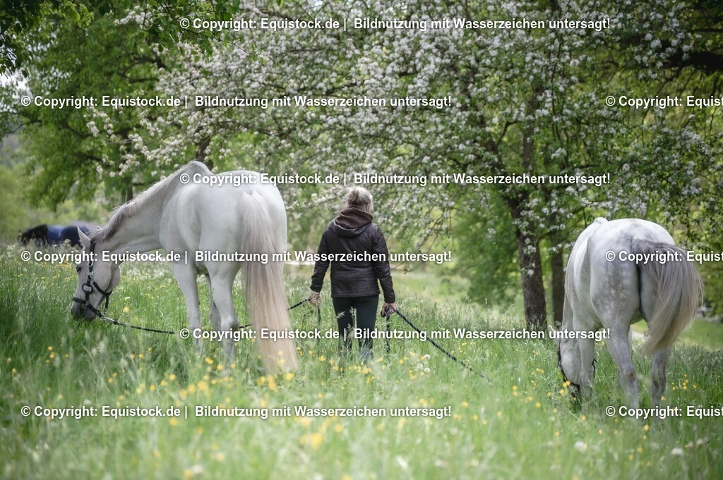 TS_20250516_Impressionen_0068 | Foto: Thomas Hartig